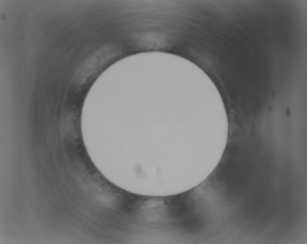 X0000052550162200507011139