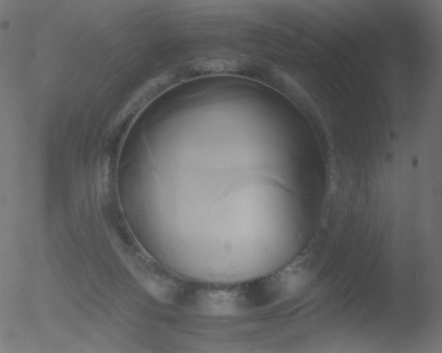 X0000052550163200507011139