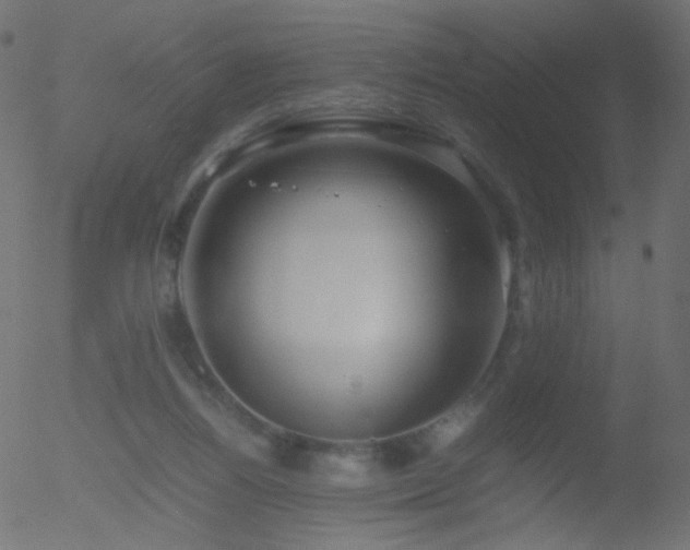 X0000052550164200507011139