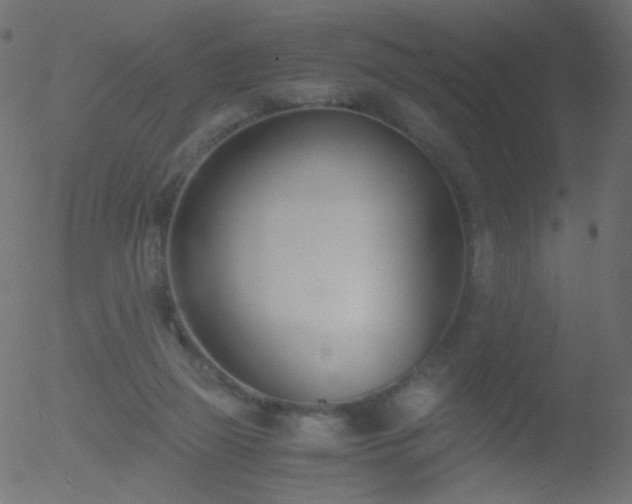 X0000052550165200507011139