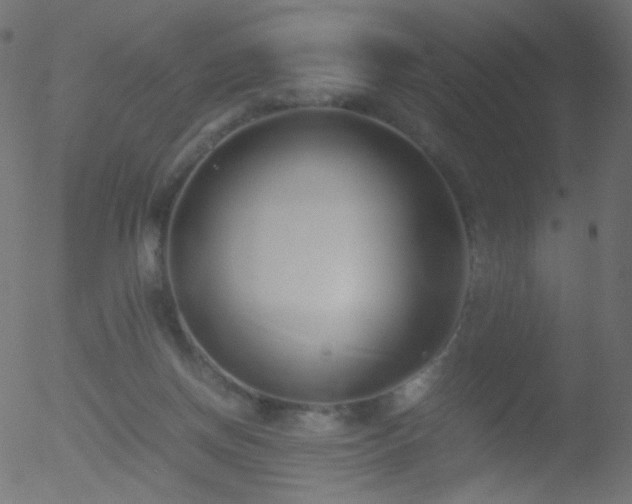 X0000052550166200507011139