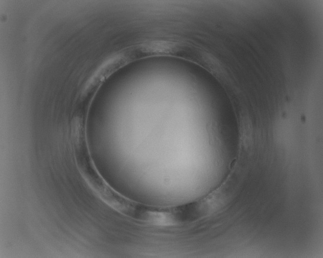 X0000052550167200507011139