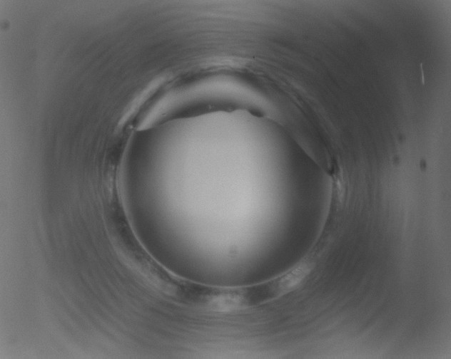 X0000052550168200507011139