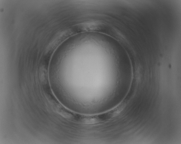 X0000052550169200507011139