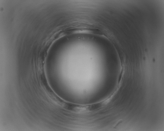 X0000052550170200507011139