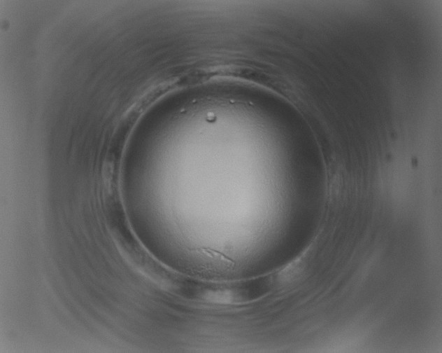 X0000052550171200507011139