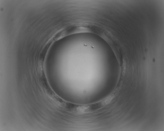 X0000052550172200507011139