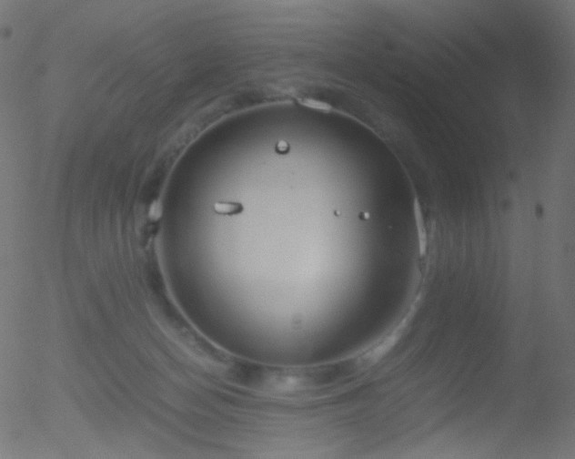 X0000052550174200507011139