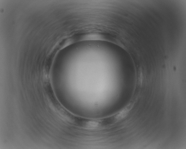 X0000052550176200507011139