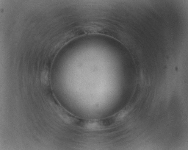 X0000052550177200507011139