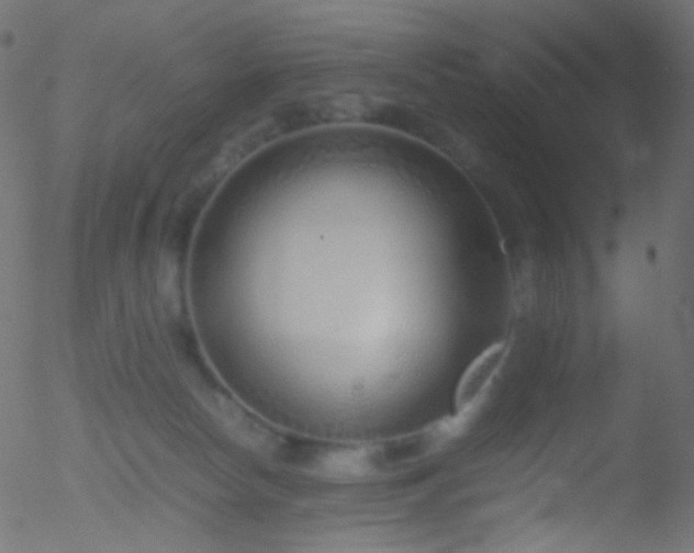 X0000052550178200507011139