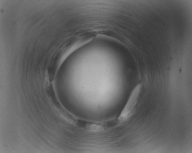 X0000052550180200507011139