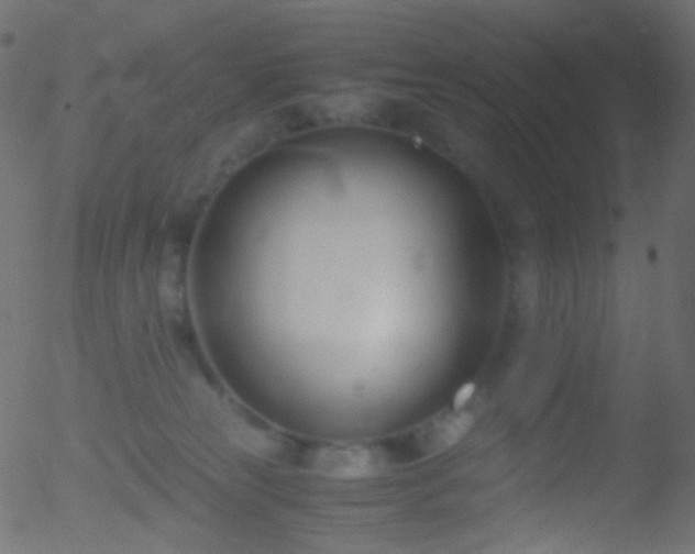 X0000052550181200507011139