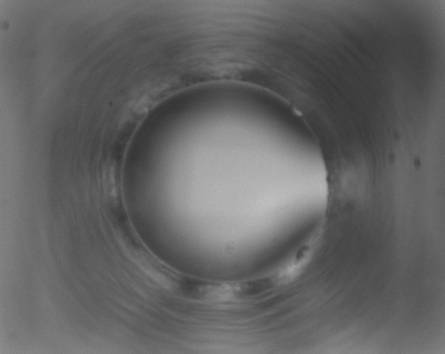 X0000052550182200507011139