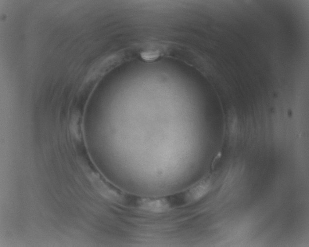 X0000052550185200507011139