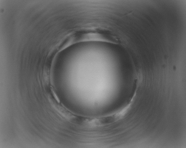 X0000052550186200507011139