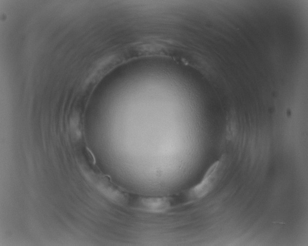 X0000052550187200507011139