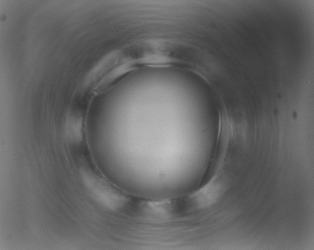 X0000052550188200507011139