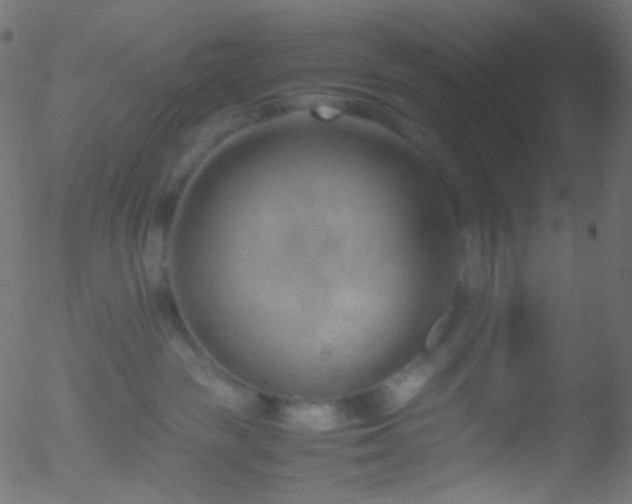 X0000052550189200507011139