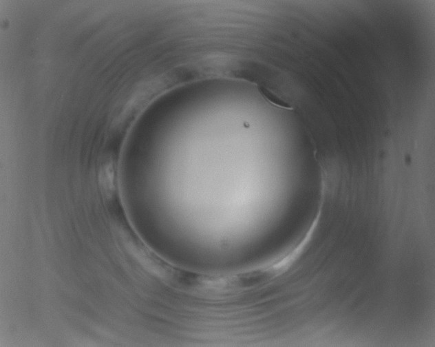 X0000052550190200507011140