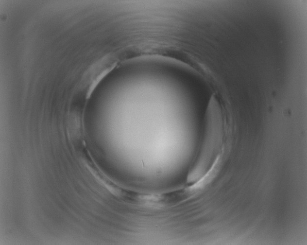 X0000052550192200507011140