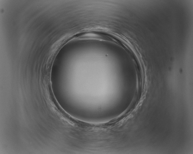 X0000052550193200507011139