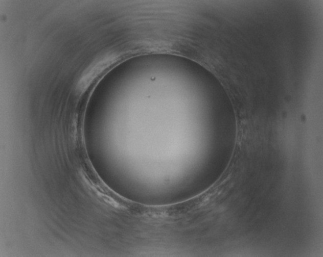 X0000052550194200507011139