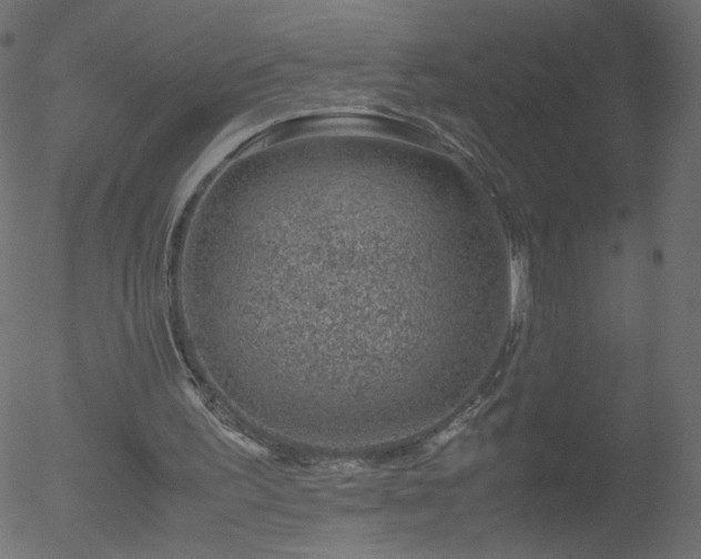 X0000052550195200507011139