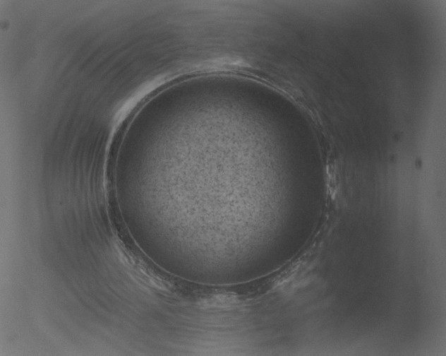 X0000052550196200507011139