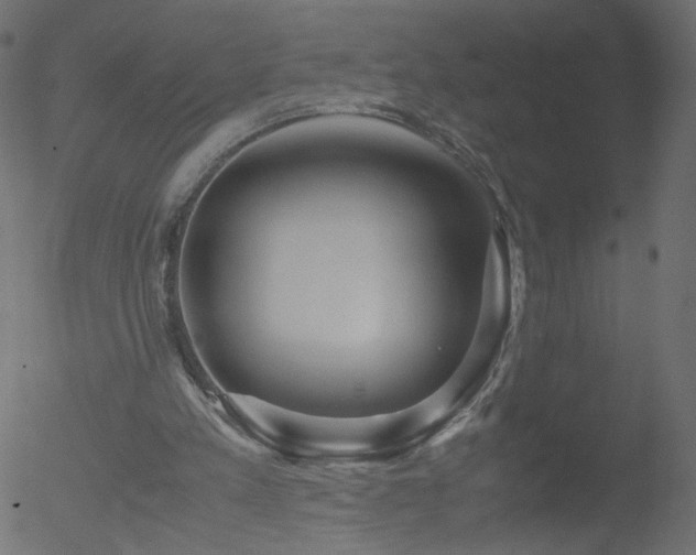 X0000052550197200507011139