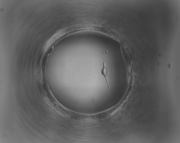 X0000052550198200507011139