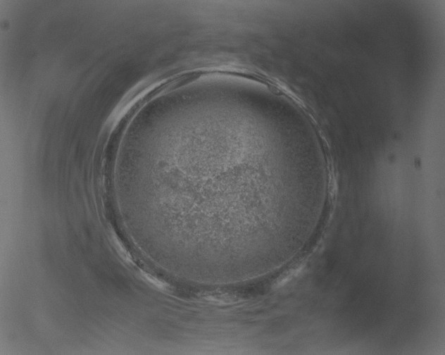 X0000052550199200507011139