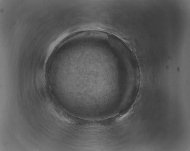 X0000052550200200507011139