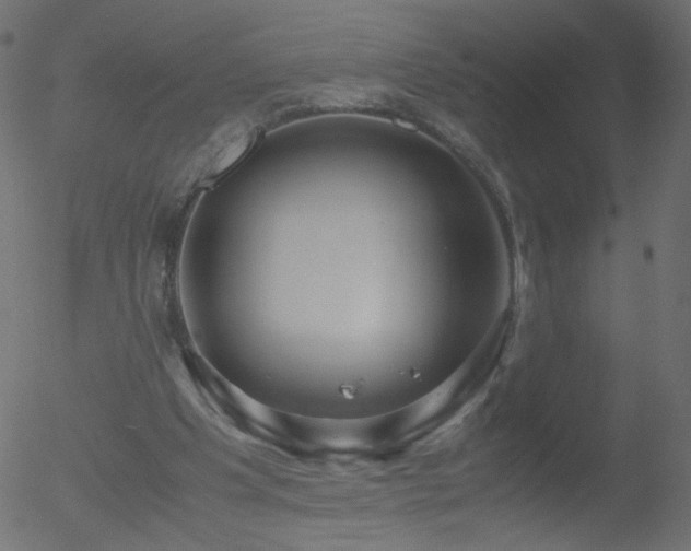 X0000052550201200507011139