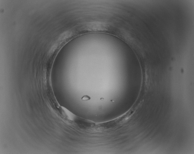 X0000052550202200507011139