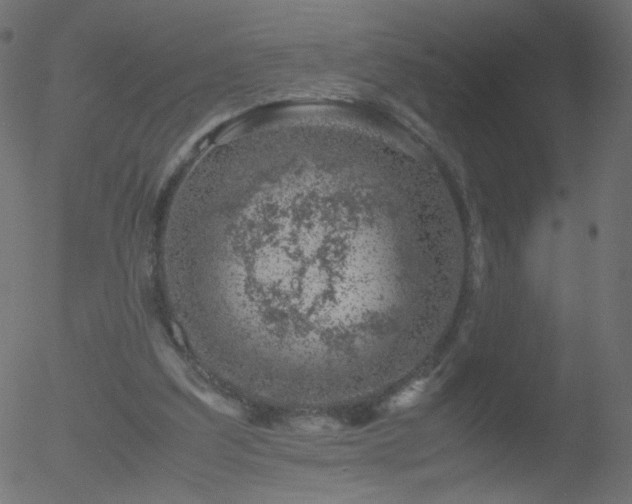 X0000052550203200507011139