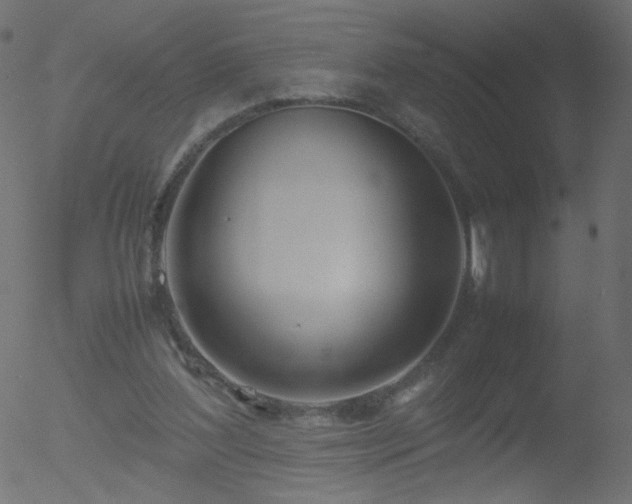 X0000052550204200507011139