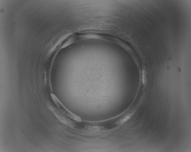 X0000052550205200507011139