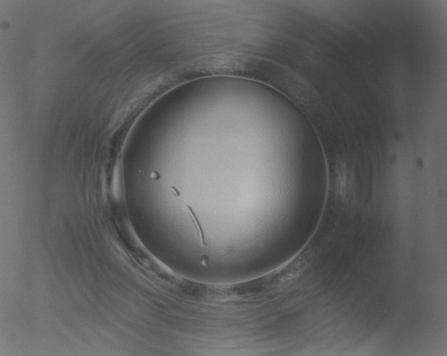 X0000052550206200507011139