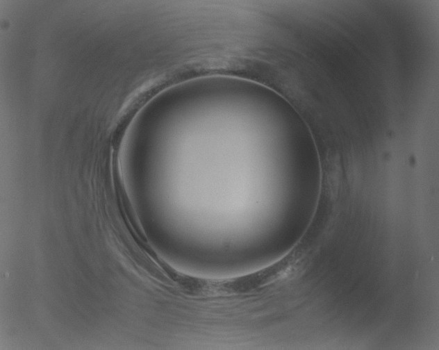 X0000052550207200507011139