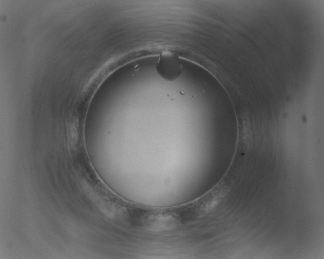 X0000052550208200507011139