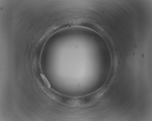 X0000052550209200507011139