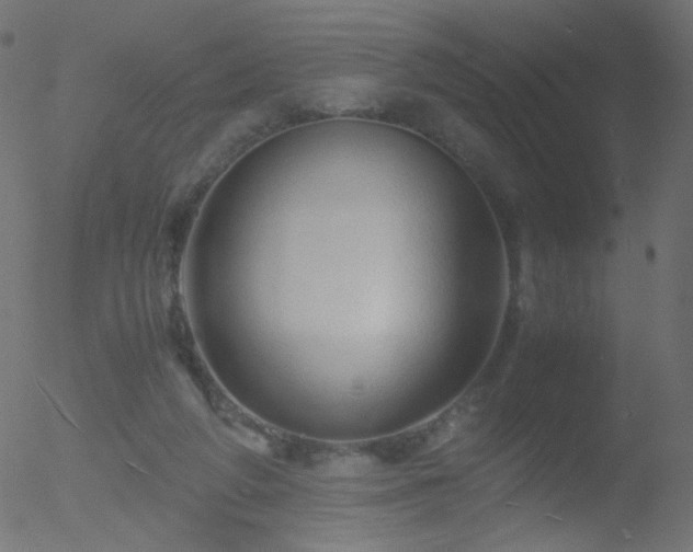 X0000052550210200507011138