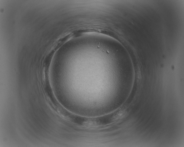 X0000052550211200507011138