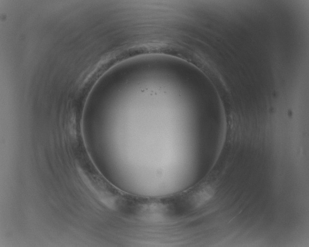 X0000052550212200507011138