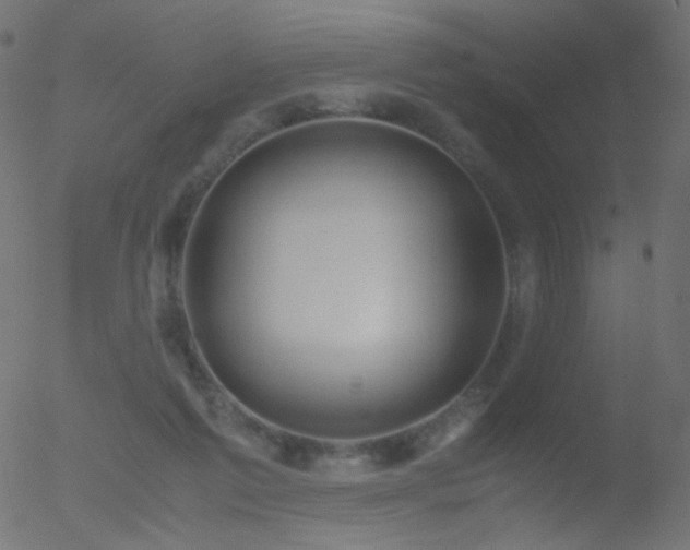 X0000052550213200507011138