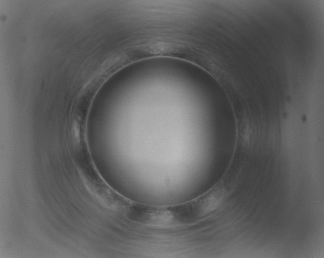 X0000052550214200507011138