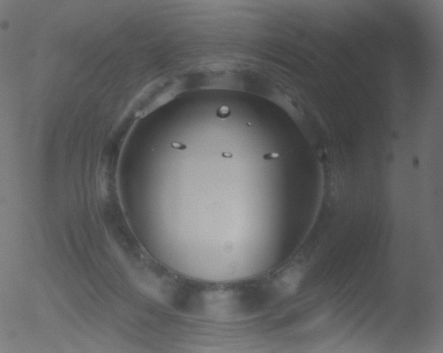 X0000052550216200507011138