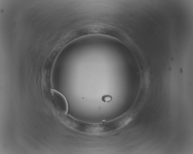 X0000052550217200507011138