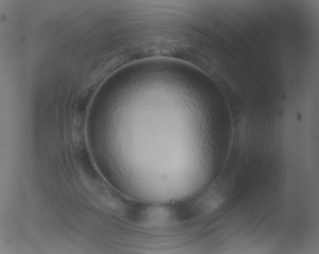 X0000052550218200507011138